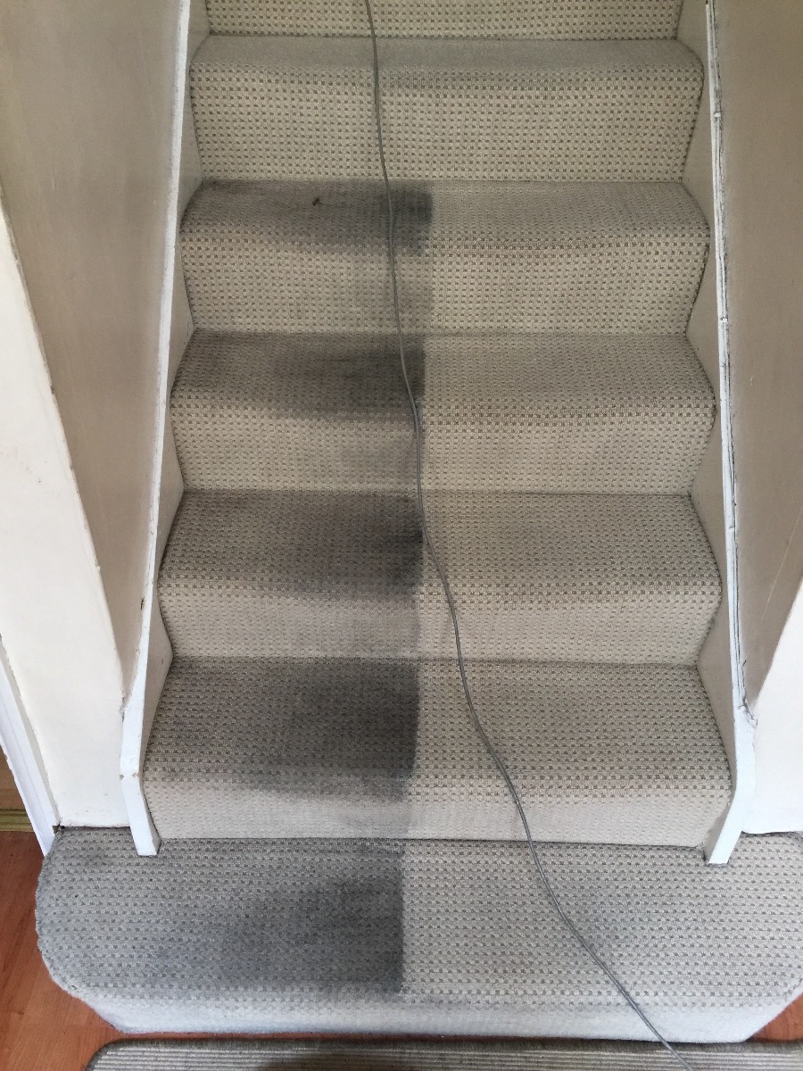 Cleaner: Image 15
